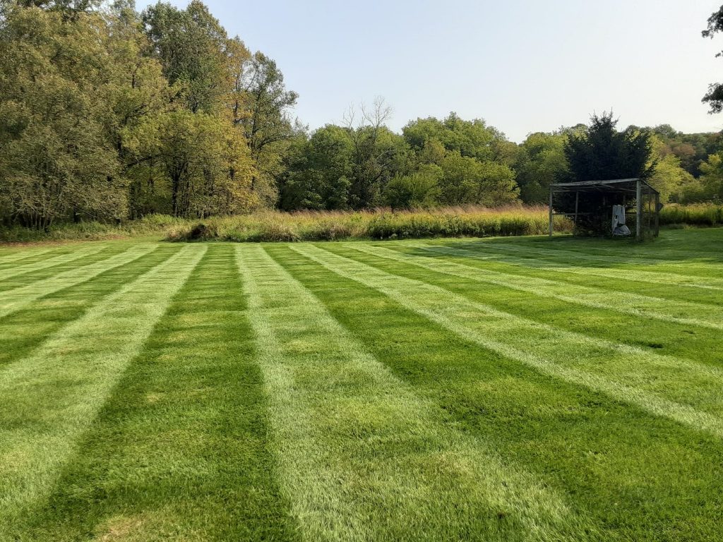 Lawn Mowing by Green Mowers.