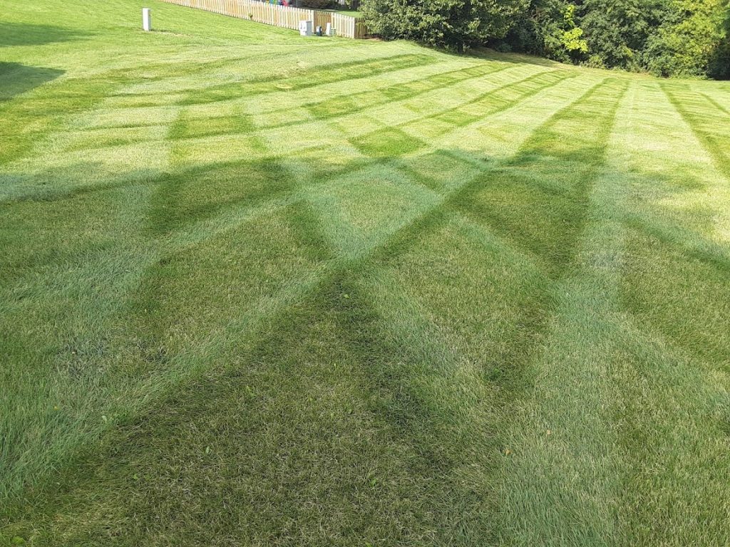 Commercial Lawn Care
