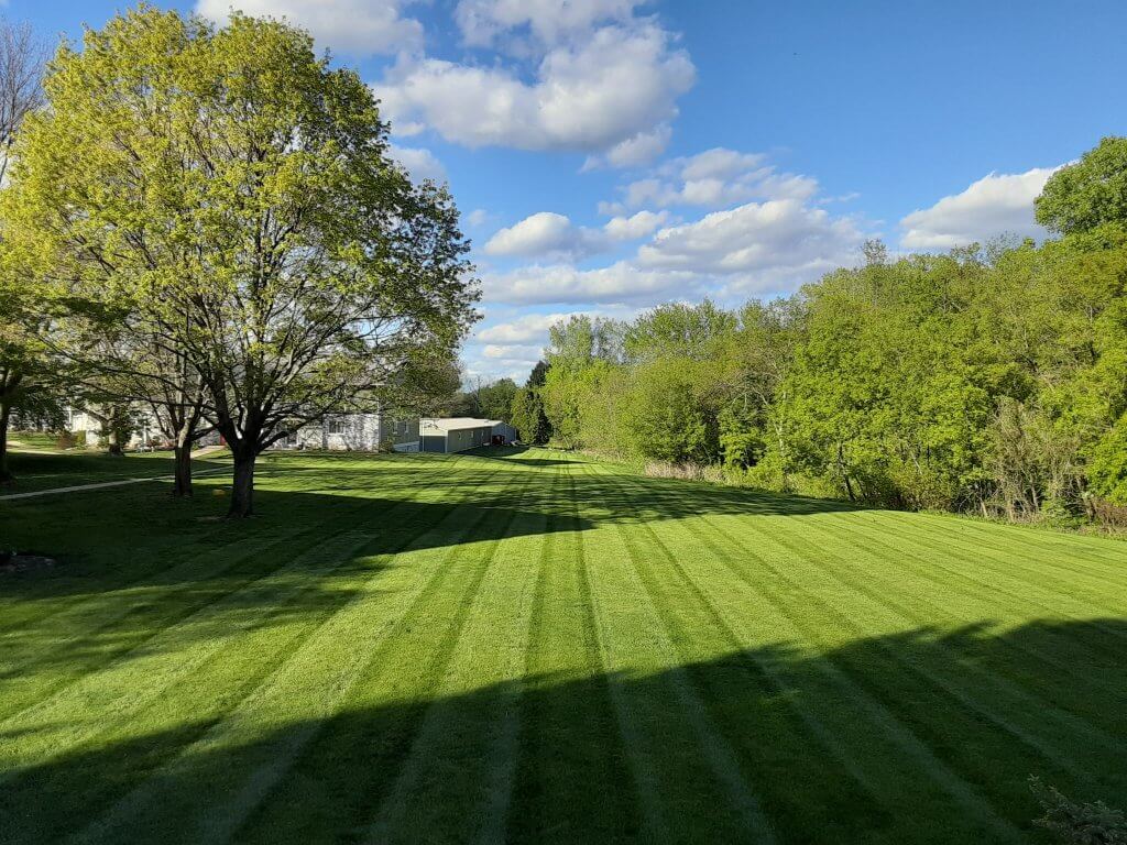 Straight lines in the yard.
