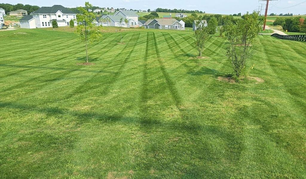 Large commercial lawn maintenance.