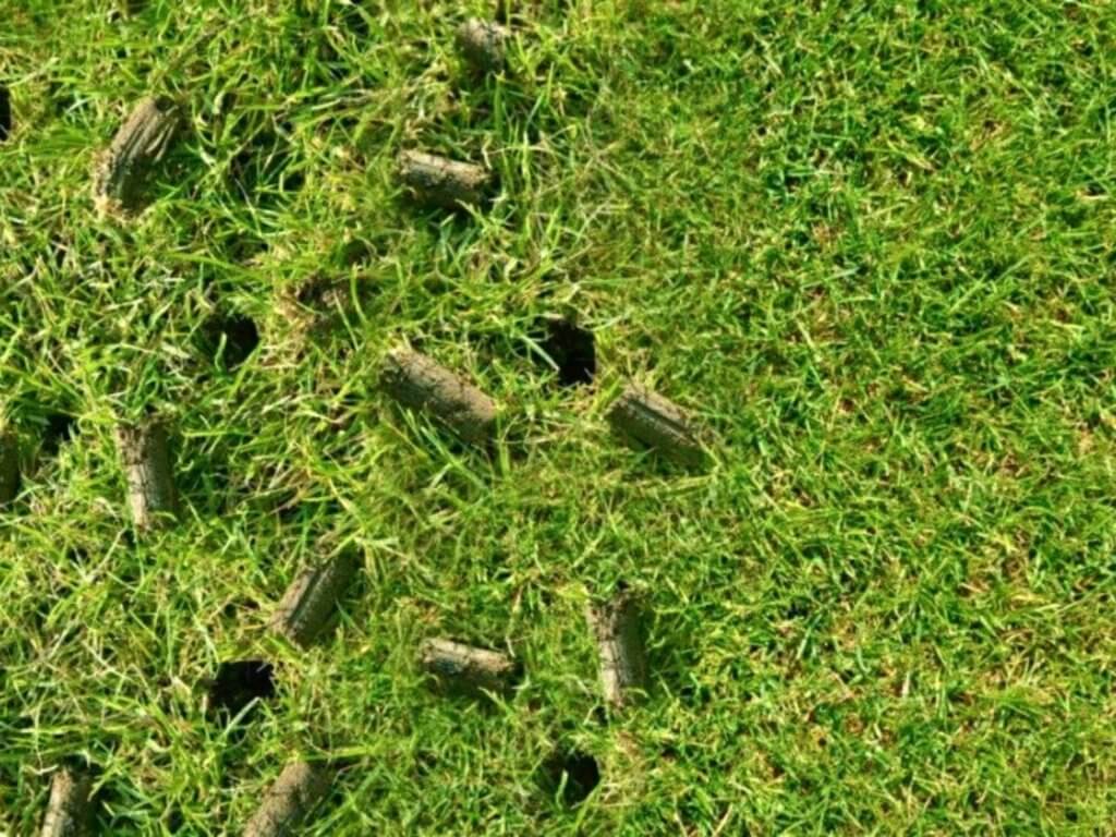 When is the right time ? The optimal time for lawn aerations in Madison Wisconsin. 